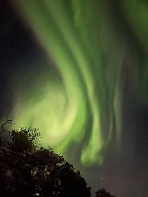 Leilighet I Rolig Gate Med Utsikt Og Gratis Parkering Tromso Luaran gambar