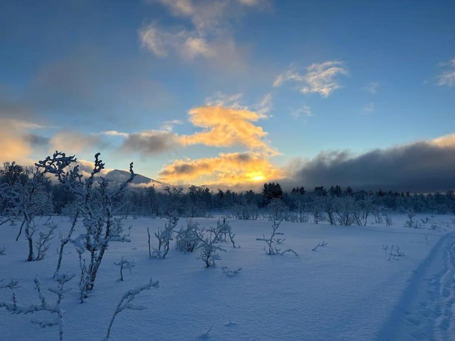 Leilighet I Rolig Gate Med Utsikt Og Gratis Parkering Tromso Luaran gambar